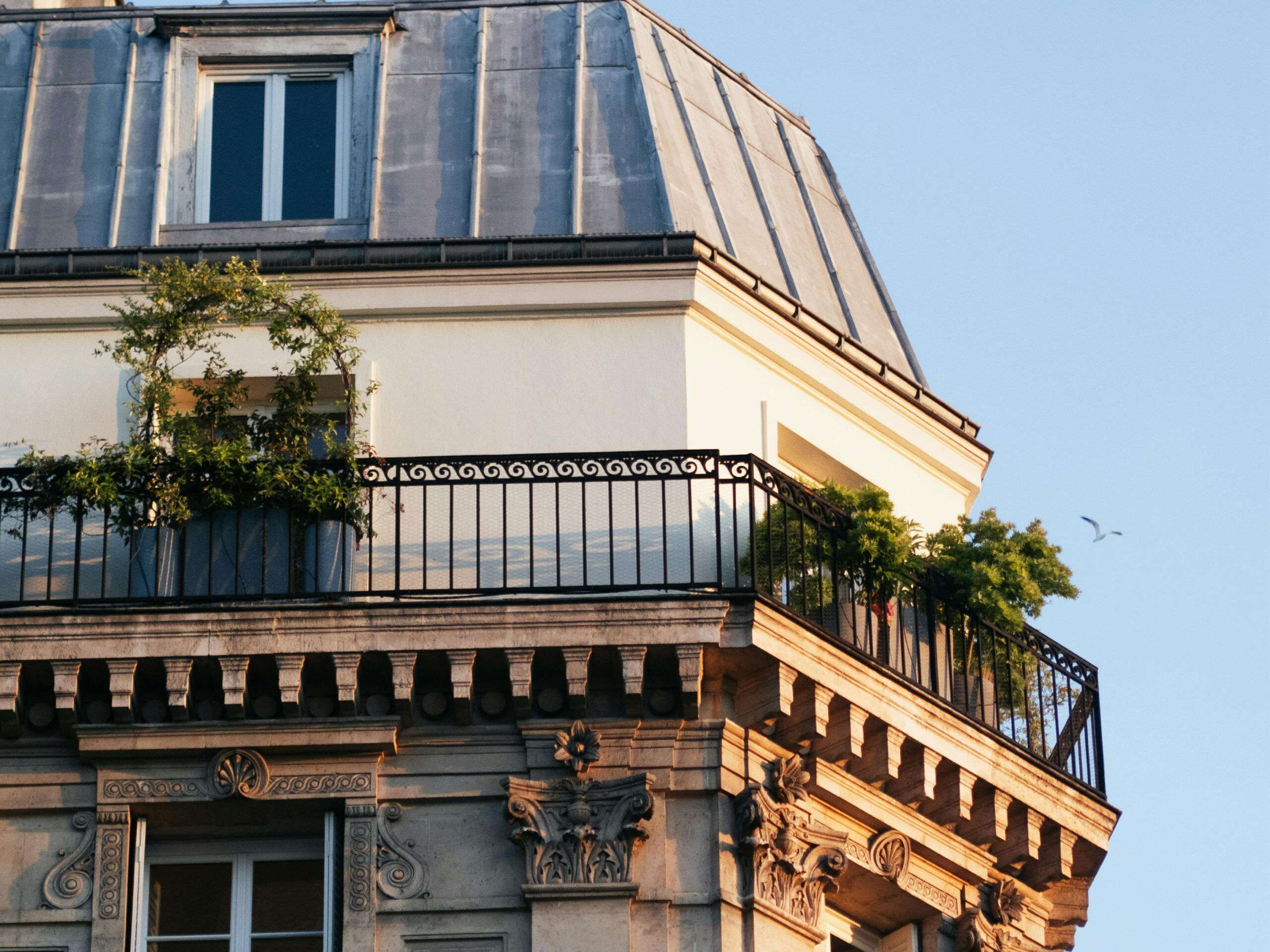 Conseils-Paysagiste-Paris-Agave-Paysage-Amenager-Petit-Balcon